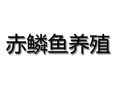 赤鳞鱼养殖加盟