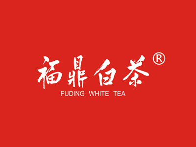 福鼎白茶加盟