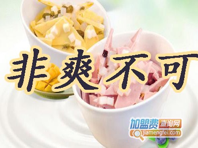 非爽不可炒酸奶加盟费