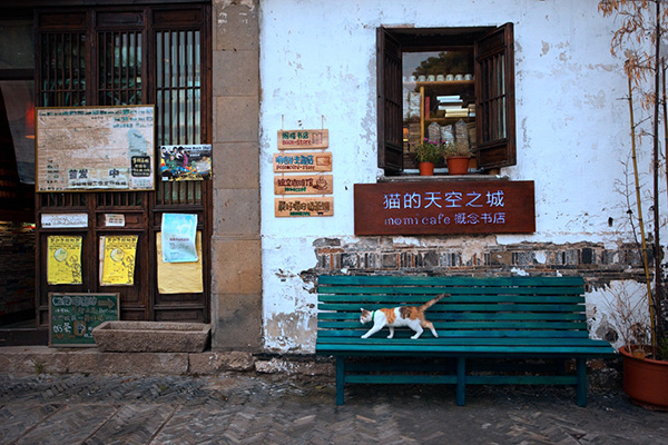 猫的天空之城加盟店