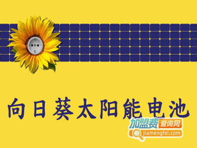 向日葵太阳能电池加盟