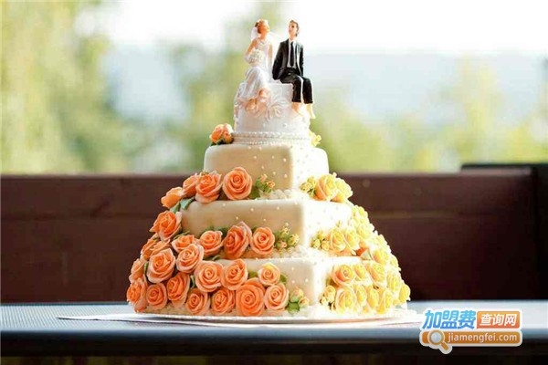 薇的婚礼蛋糕工坊加盟费
