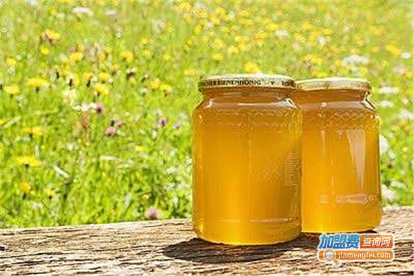 蜂蜜谷蜂业加盟费