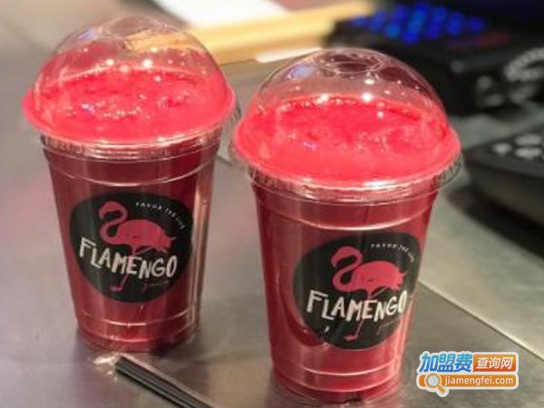 flamengo juice火鸟果汁加盟费