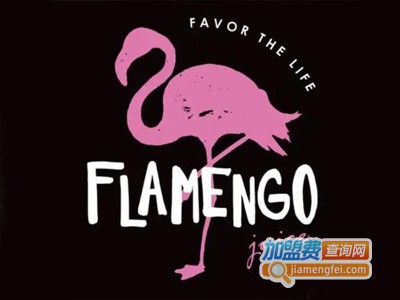 flamengo juice火鸟果汁加盟