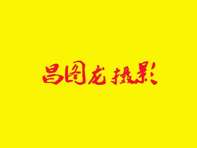 昌图龙摄影加盟