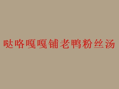 哒咯嘎嘎铺老鸭粉丝汤加盟