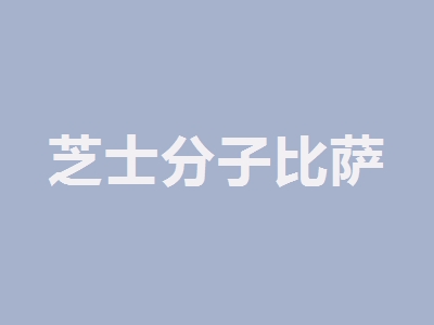 芝士分子比萨代理