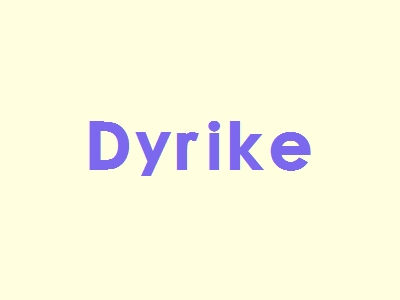 Dyrike加盟