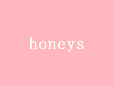 honeys加盟