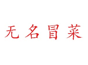 无名冒菜加盟费