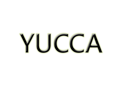 YUCCA加盟