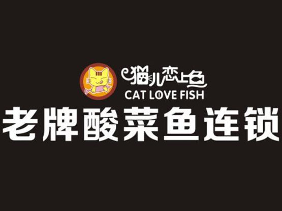 猫儿恋上鱼加盟费