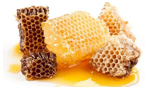 养生源蜂业加盟
