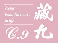 藏九女装加盟费