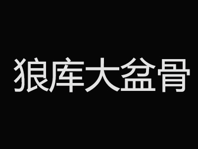 狼库大盆骨加盟