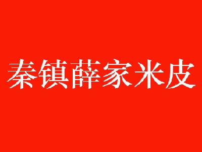 秦镇薛家米皮加盟