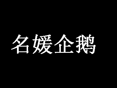 名媛企鹅内衣加盟