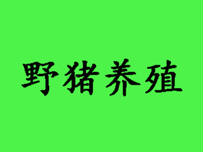 野猪养殖加盟