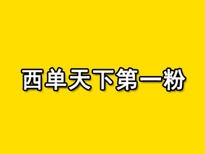 西单天下第一粉加盟电话