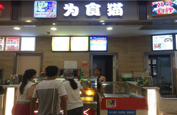 为食猫加盟店