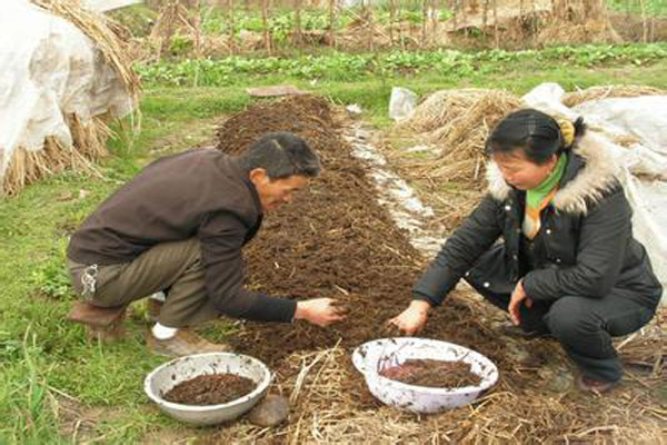 地龙养殖加盟费