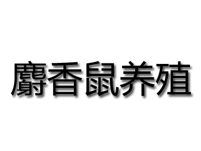 麝香鼠养殖加盟