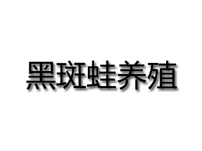 黑斑蛙养殖加盟费