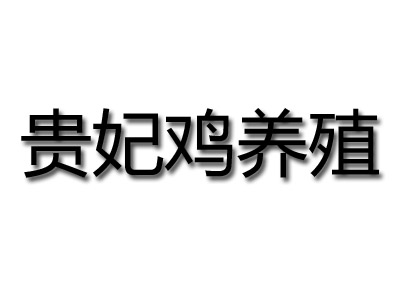 贵妃鸡养殖加盟