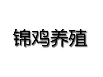 锦鸡养殖加盟费