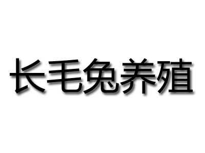 长毛兔养殖加盟