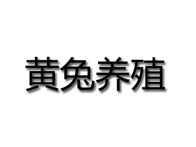 黄兔养殖加盟