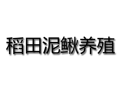 稻田泥鳅养殖加盟