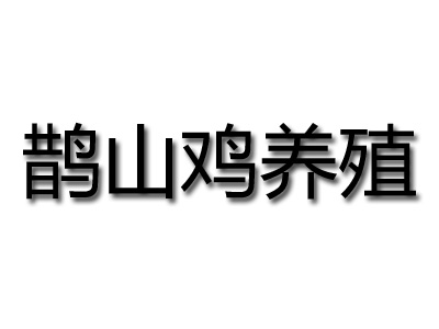 鹊山鸡养殖加盟费