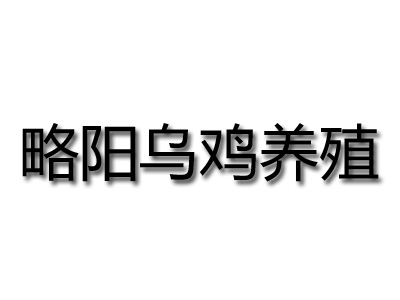 略阳乌鸡养殖加盟费