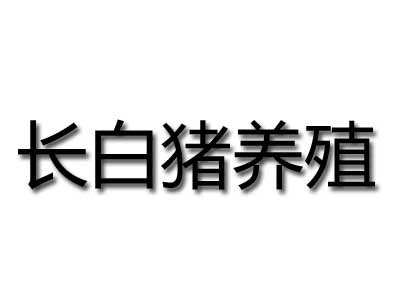 长白猪养殖加盟