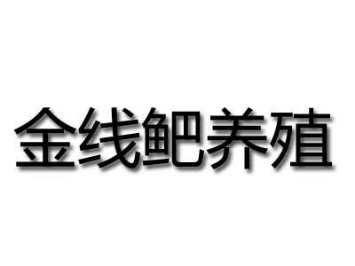 金线鲃养殖加盟