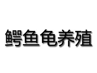 鳄鱼龟养殖加盟费