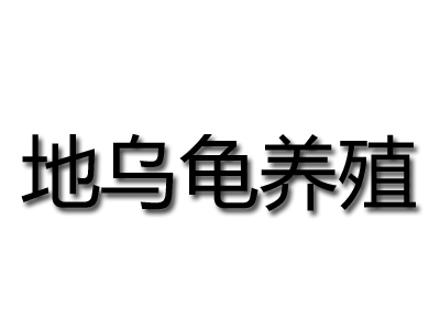 地乌龟养殖加盟