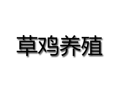 草鸡养殖加盟