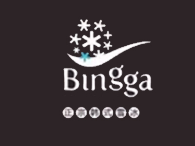 bingga冰家加盟费