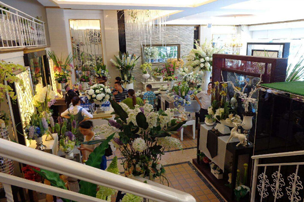 郑州袭人花店老板的自述——袭人让我的梦想开花