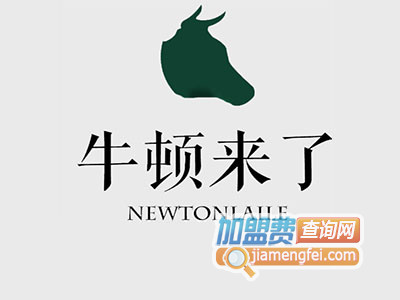 牛顿来了加盟费