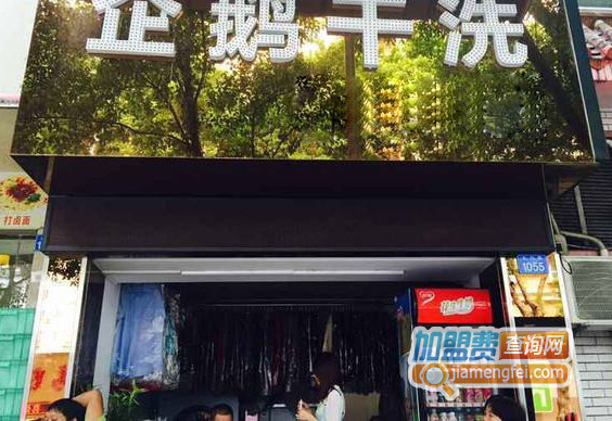 企鹅干洗加盟店