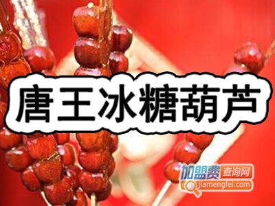 唐王冰糖葫芦加盟费