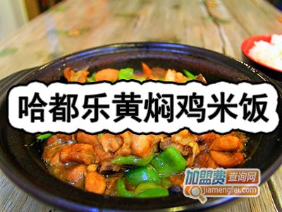 哈都乐黄焖鸡米饭加盟费