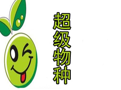 超级物种加盟电话