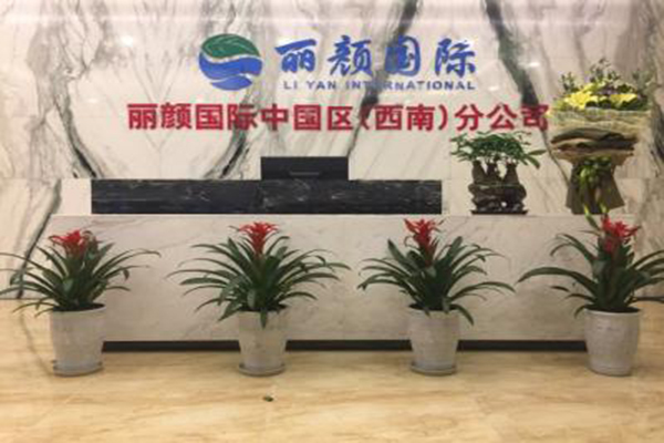 丽颜国际