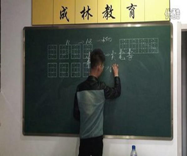 成林练字加盟