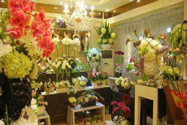 芙兰朵花店加盟